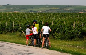 Radfahren im Weinviertel, © © WTG, Mandl