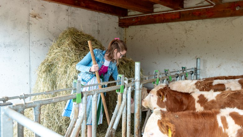 Magdalena im Stall bei den Kälbern, © Familie Grasberger