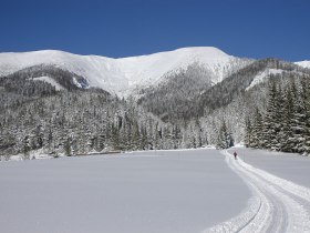 6/2 ZWEILÄNDERLOIPEN - Lahnsattler Skatingloipe, © Renner Manfred