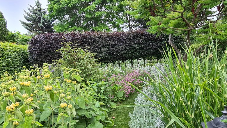 Präriegarten, © Schaugarten am Pulverturm