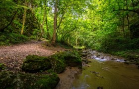 Johannesbachklamm, © Wiener Alpen in Niederösterreich