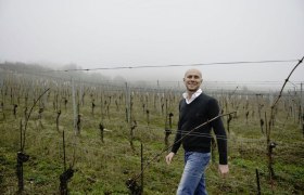 Weingut Johannes Gebeshuber, © Weingut Johannes Gebeshuber