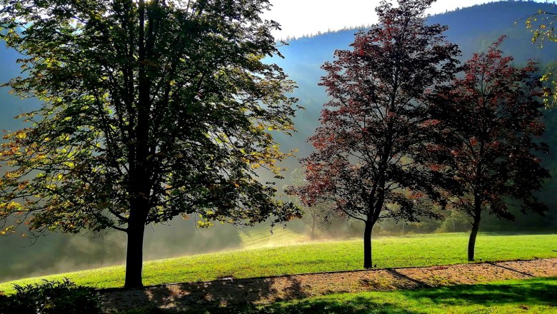 Morgendliche Stimmung, © Landsitz Oberhof