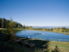 Speicherteich am Ameisenpfad, © ©Martin Weiner