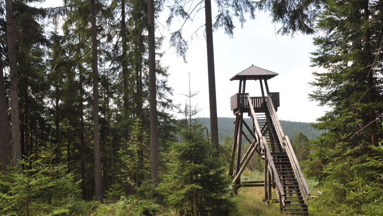 Aussichtsturm Hochmoor Große Haide, © Reinhard Nieder