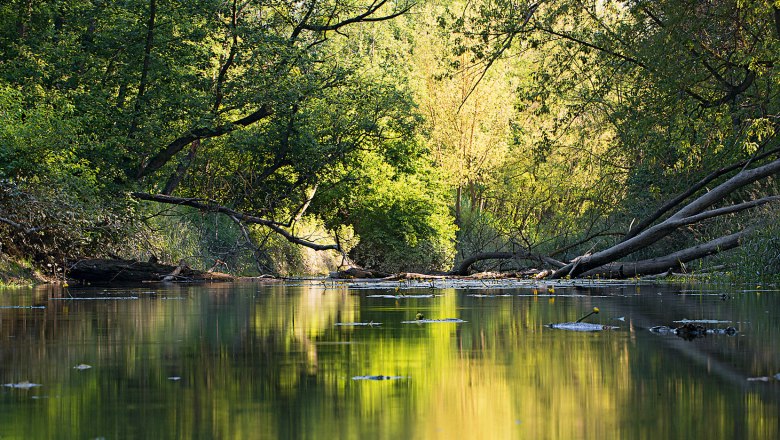 Donau-Auen National Park, © Zsolt Kudich