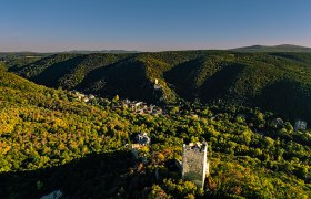 Burgruine Rauheneck Kopie, © Sascha Schernthaner