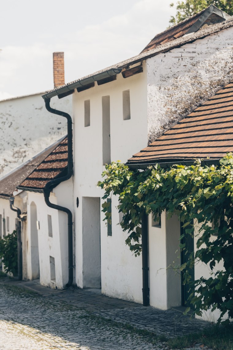 A view of the Radyweg cellar lane in Poysdorf, © Niederösterreich Werbung/ Ian Ehm