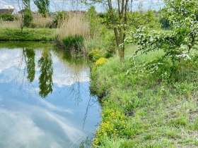 Watzelsdorf Wasserwelt, © Weinstraße Weinviertel