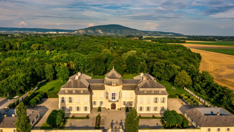 Luftaufnahme eines Schlosses umgeben von Wäldern und Feldern, Berg im Hintergrund., © Donau Niederösterreich, Robert Herbst