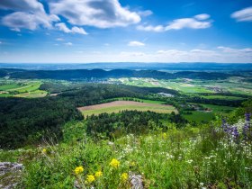 Beim Herrgottschnitzerhaus Hohe Wand, © Wiener Alpen in Niederösterreich