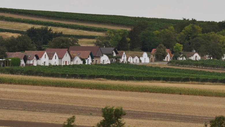 Weinberge mit traditionellen Kellergassen und kleinen Häusern im Grünen., © Donau NÖ Tourismus, Steve Haider