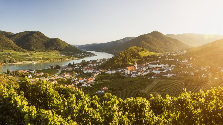 View of the wine village Spitz and the Danube., © Donau NÖ/Robert Herbst