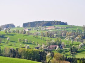 Blick auf Ort, © Brigitte Hofschwaiger